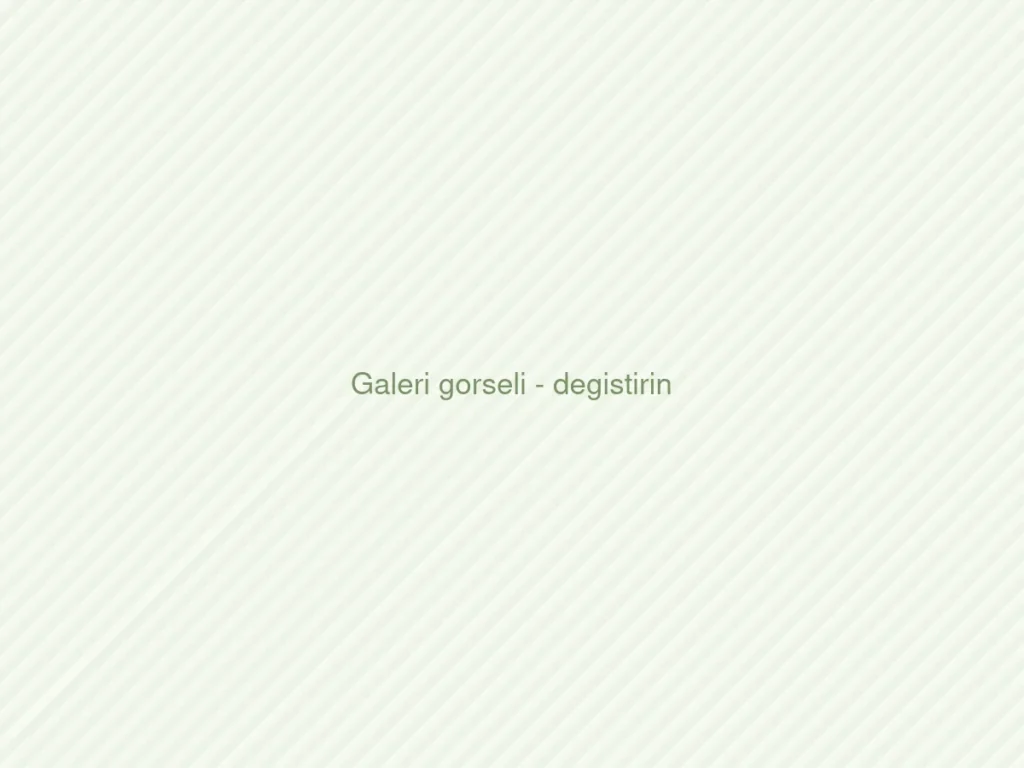 Galeri gorseli - degistirin